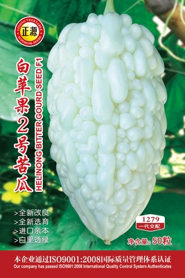 白蘋果2號(hào)苦瓜（1279）