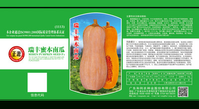 瑞豐蜜本南瓜（1113）