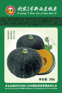 利農(nóng)1號(hào)新西蘭板栗南瓜