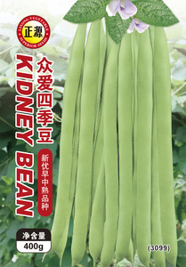 眾愛四季豆 (3099)