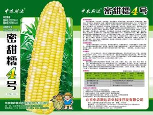 密甜糯4號(hào)玉米