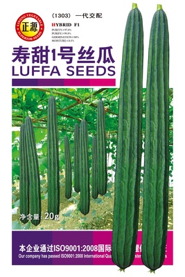 壽甜1號絲瓜（1303）