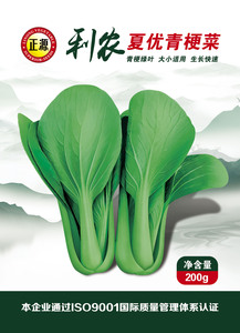 利農(nóng)夏優(yōu)青梗菜 