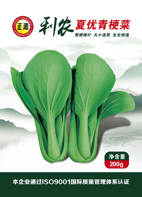 利農(nóng)夏優(yōu)青梗菜 