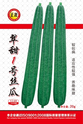 翠甜1號絲瓜 （1240）
