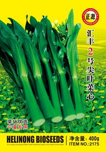 匯豐2號尖葉菜心