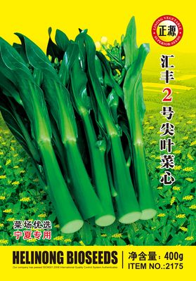 匯豐2號(hào)尖葉菜心