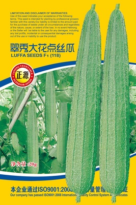 翠秀大花點(diǎn)絲瓜 (118)