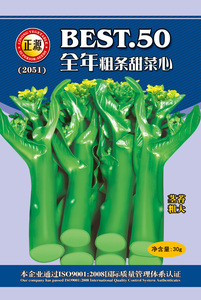 全年粗條甜菜心（2051）
