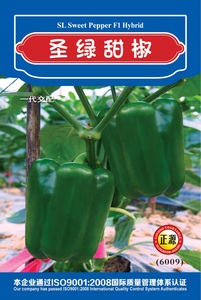 圣绿甜椒 (6009)