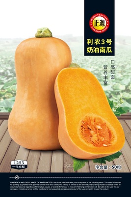 利農(nóng)3號(hào)奶油南瓜（1253）