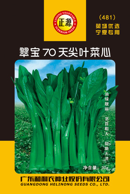 翠寶70天尖葉菜心30g