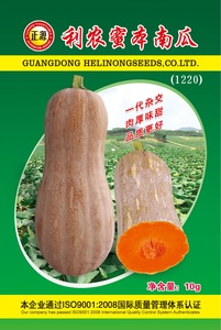 利農(nóng)蜜本南瓜(1220)