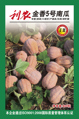 利農(nóng)金香5號(hào)南瓜