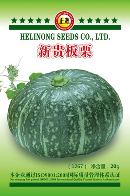 新貴板栗（1267）