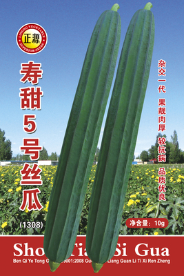 壽甜5號(hào)絲瓜 (1308)