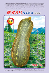 利農(nóng)8號(hào)蜜本南瓜