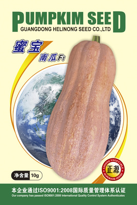 蜜寶南瓜(895)