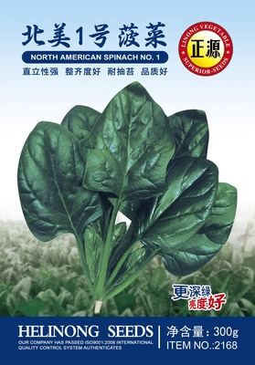 北美1號(hào)菠菜（2168）