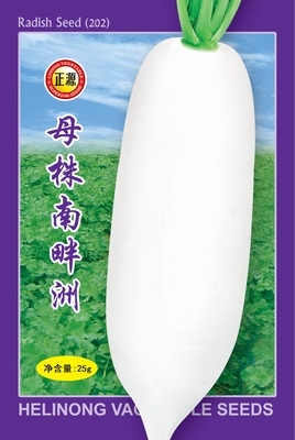 母株南畔洲蘿卜