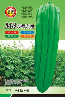 M3吉強苦瓜 （1276）