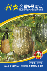 利農(nóng)金香6號南瓜