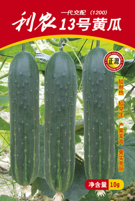 利農(nóng)13號(hào)黃瓜（1200）