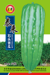泰來石頭苦瓜(1272) 