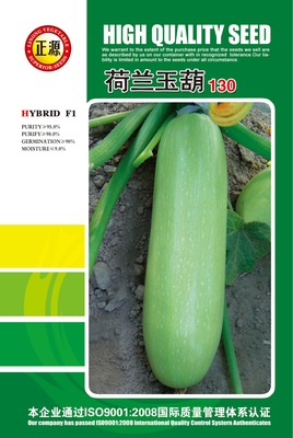 荷蘭玉葫（130）