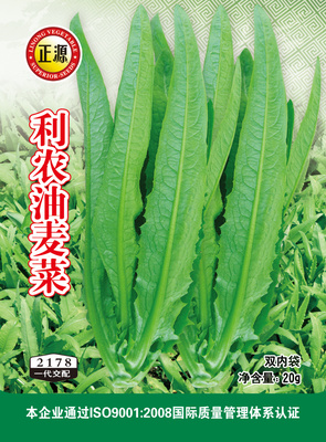 利農(nóng)油麥菜（2178）
