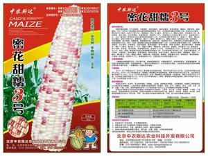 密花甜糯3號玉米