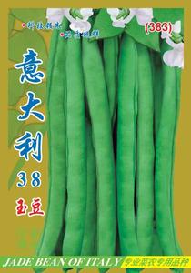 意大利38號玉豆