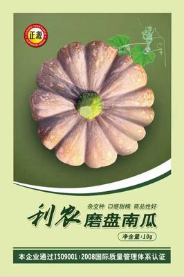 利農(nóng)磨盤(pán)南瓜