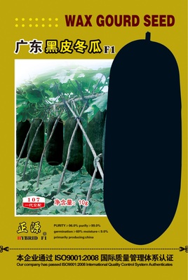 廣東黑皮冬瓜