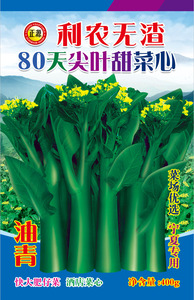 利農(nóng)無渣80天尖葉甜菜心