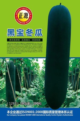 黑寶冬瓜