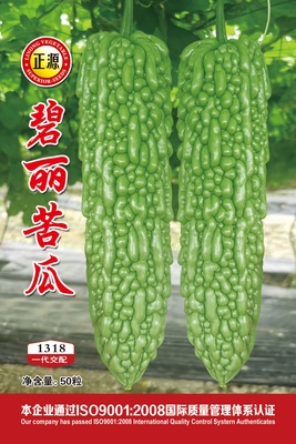 碧麗苦瓜（1318）
