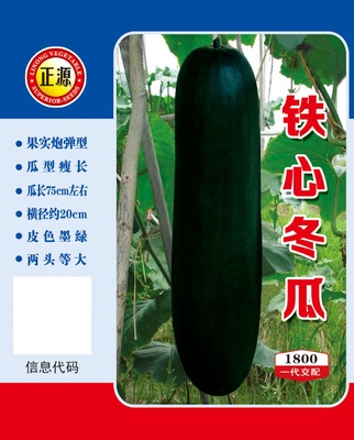 鐵心冬瓜 (1800)