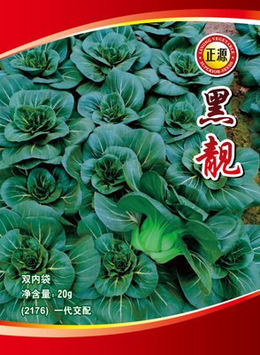 利農(nóng)黑靚青梗菜（2176）