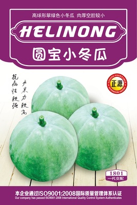 圓寶小冬瓜 (1801)