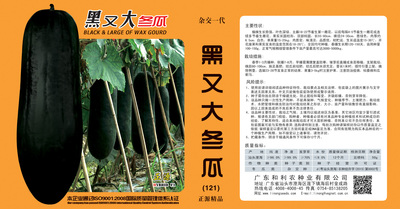 黑又大冬瓜