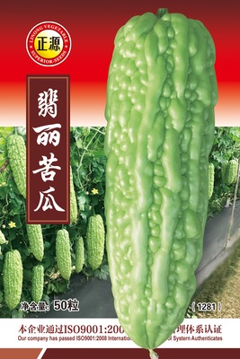 翡麗苦瓜（1281）