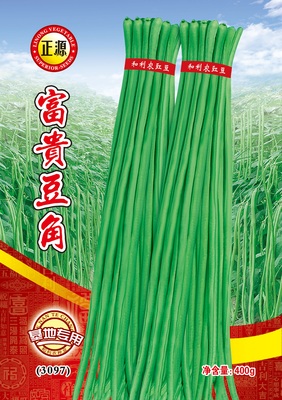 富貴豆角（3097）