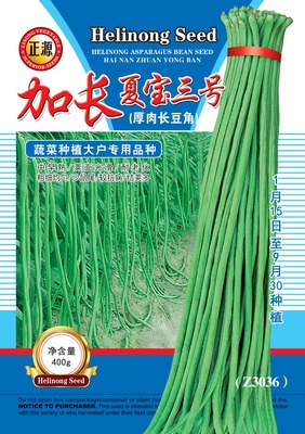 加長(zhǎng)夏寶三號(hào)優(yōu)良豆角（Z3036）