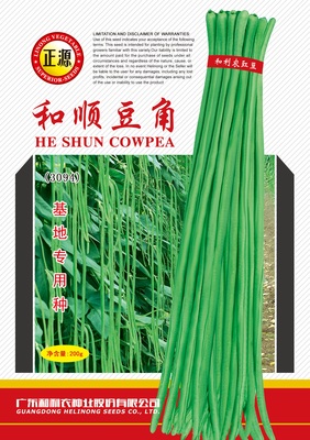 和順豆角 (3094)
