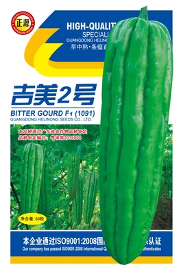 吉美2號(hào)苦瓜(1091)