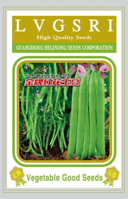 金牌紅花玉豆（3071）