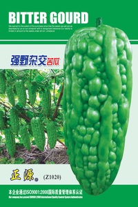 強(qiáng)野雜交苦瓜(Z1020)