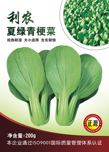 利農(nóng)夏綠青梗菜 