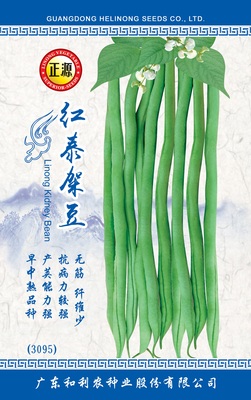 紅泰架豆(3095)